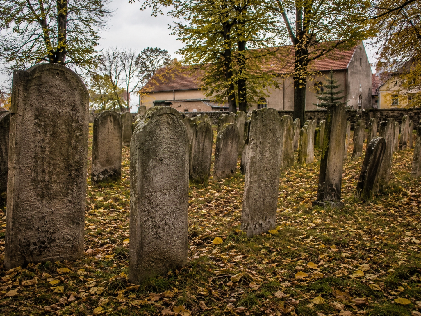 Cmentarz Zabytkowy (heritage)